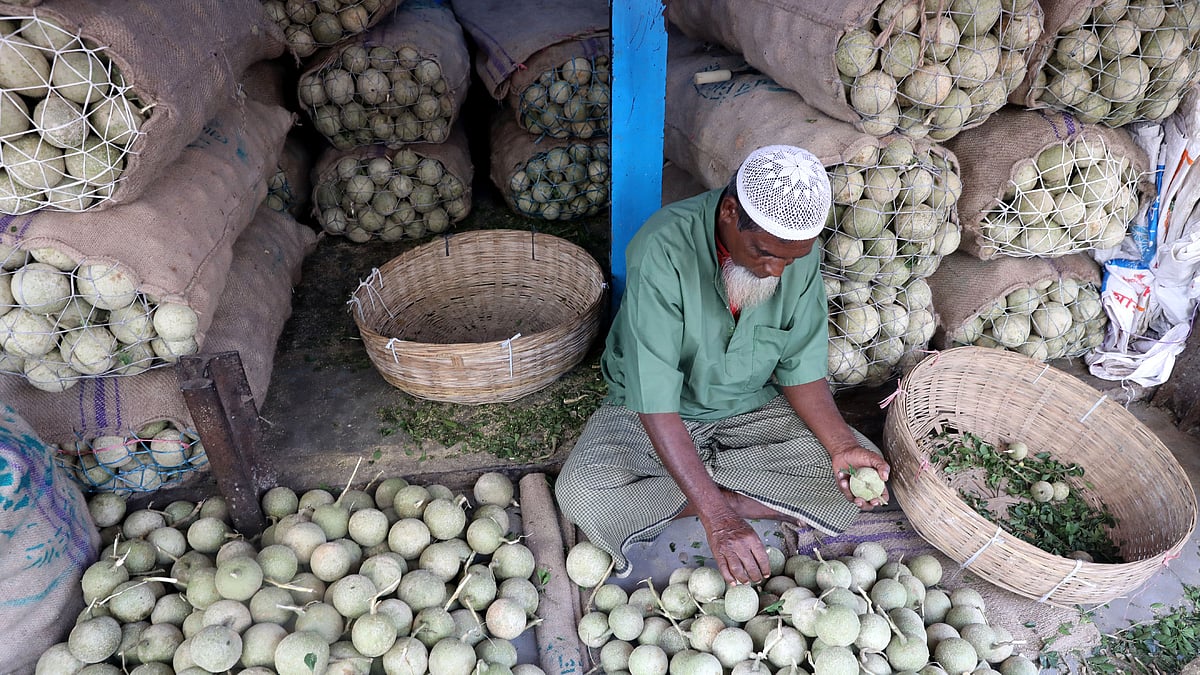 বিক্রির জন্য কতবেল বাছাই করছেন একজন।