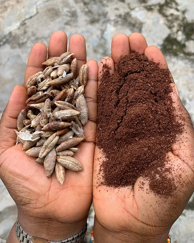 স্বাদ অনেকটা কফির মতোই, তাই ‘ক্যাফেইন ফ্রি কফি’ কিংবা ‘ক্যাফেইন ফ্রি এনার্জি বুস্টার’ ইত্যাদি নানা নামে একে অভিহিত করা হয়ে থাকে