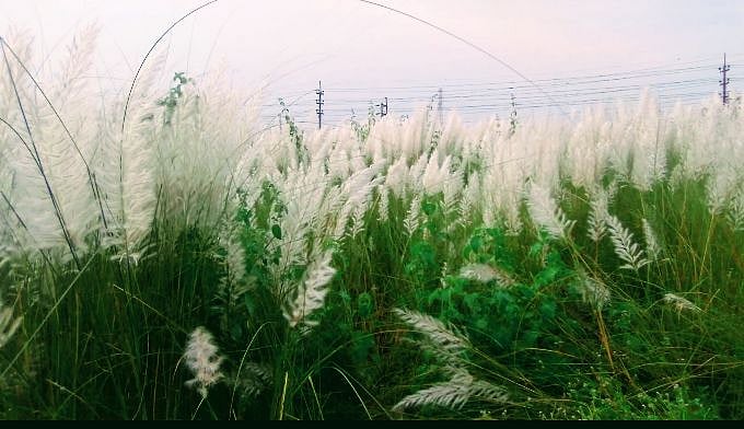 পাঠকের ছবি (২৪ সেপ্টেম্বর ২০২৫)