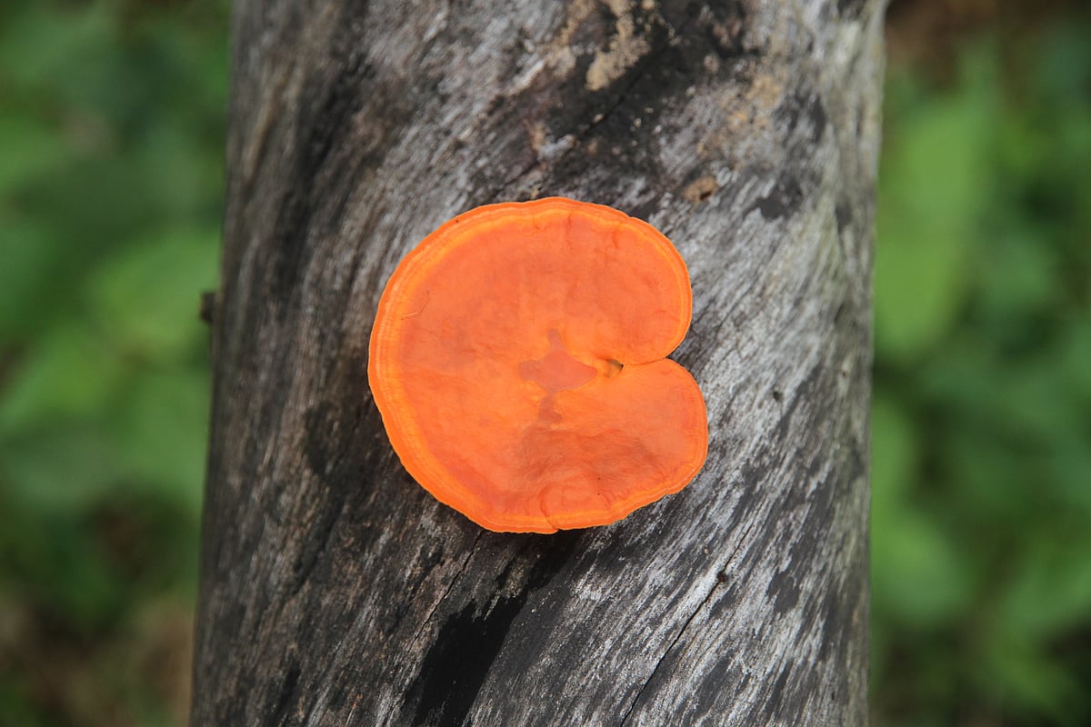 একঝলক (২৫ সেপ্টেম্বর ২০২৫)