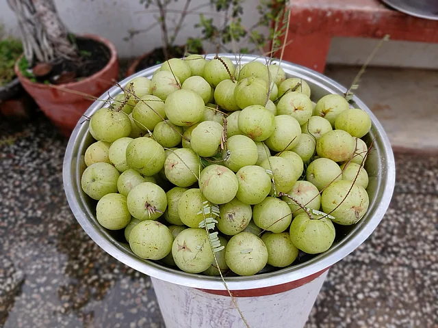 সস্তা ও পুষ্টিগুণে এগিয়ে
