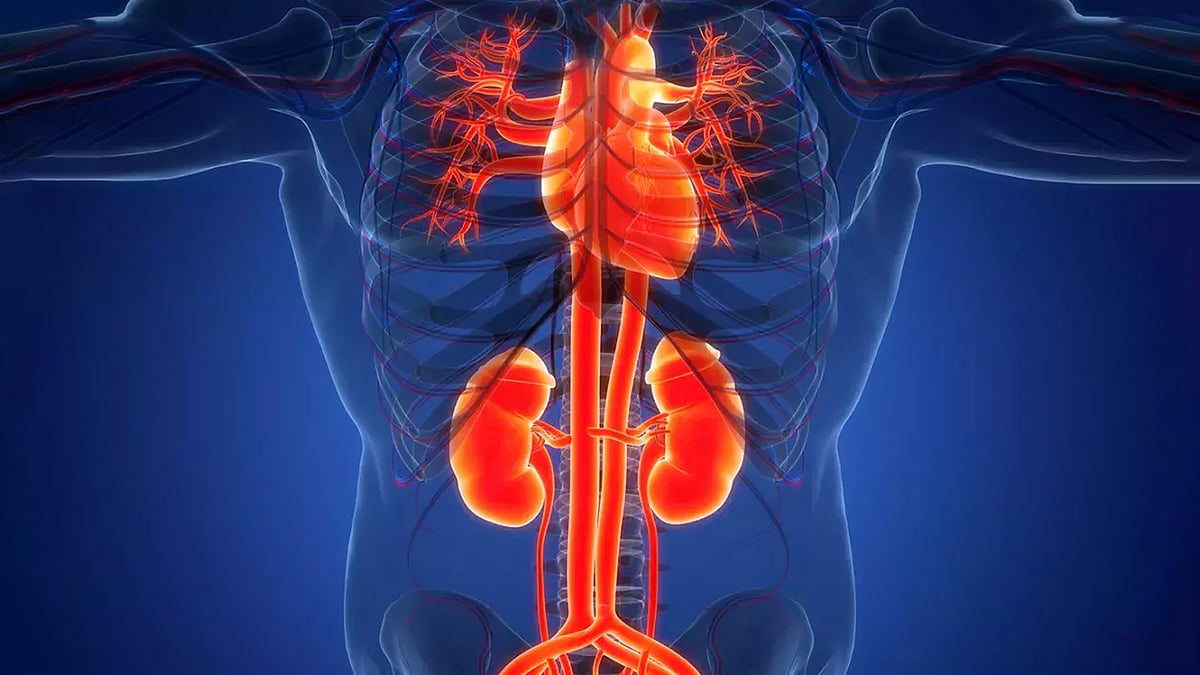 যে দুটি পরীক্ষায় উপসর্গহীন কিডনির সমস্যা ধরা পড়ে