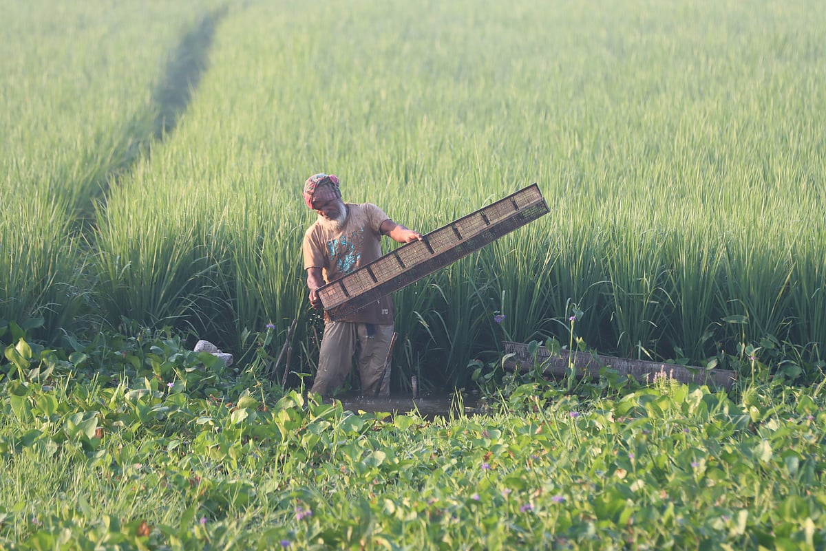 একঝলক (৩০ সেপ্টেম্বর ২০২৫)