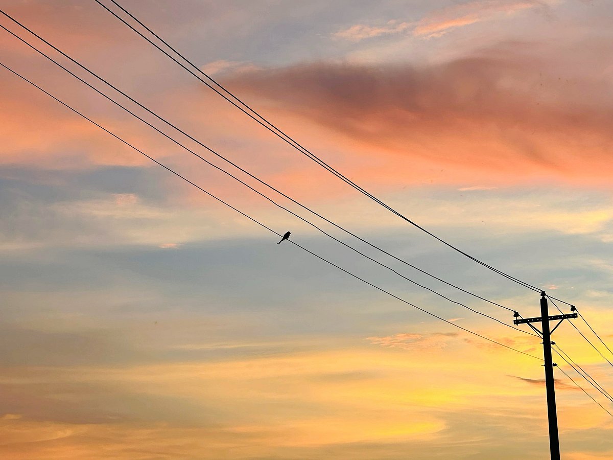 পাঠকের ছবি (৩০ সেপ্টেম্বর ২০২৫)