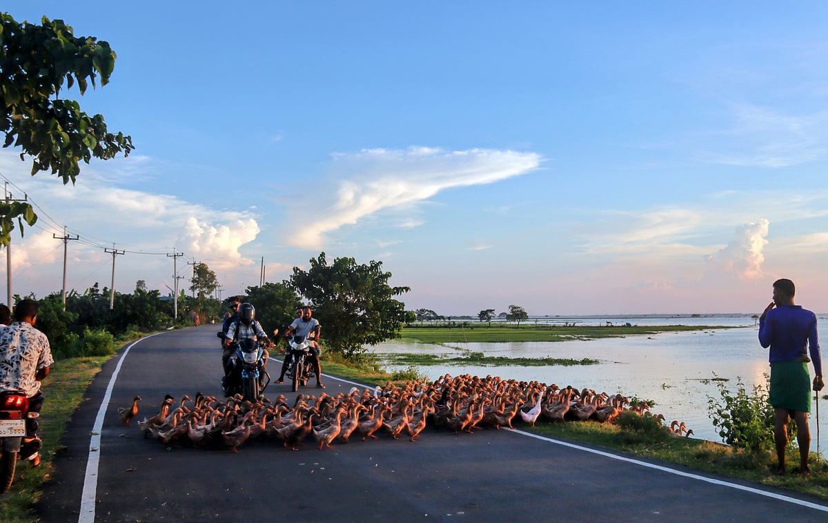 একঝলক (১ অক্টোবর ২০২৫)