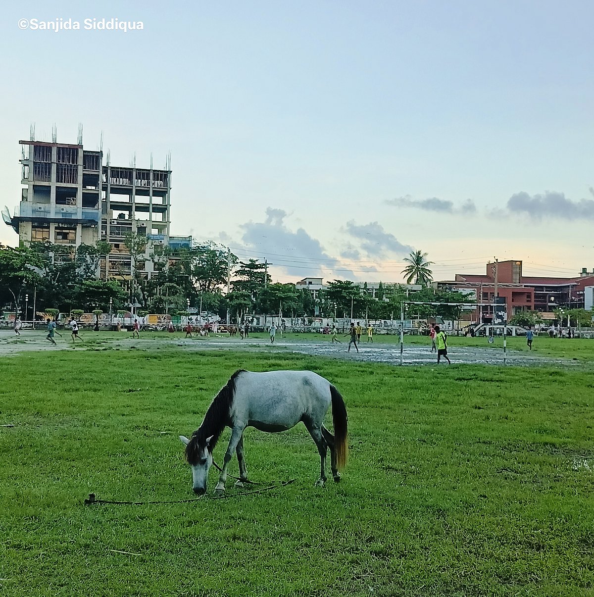 পাঠকের ছবি (১ অক্টোবর ২০২৫)
