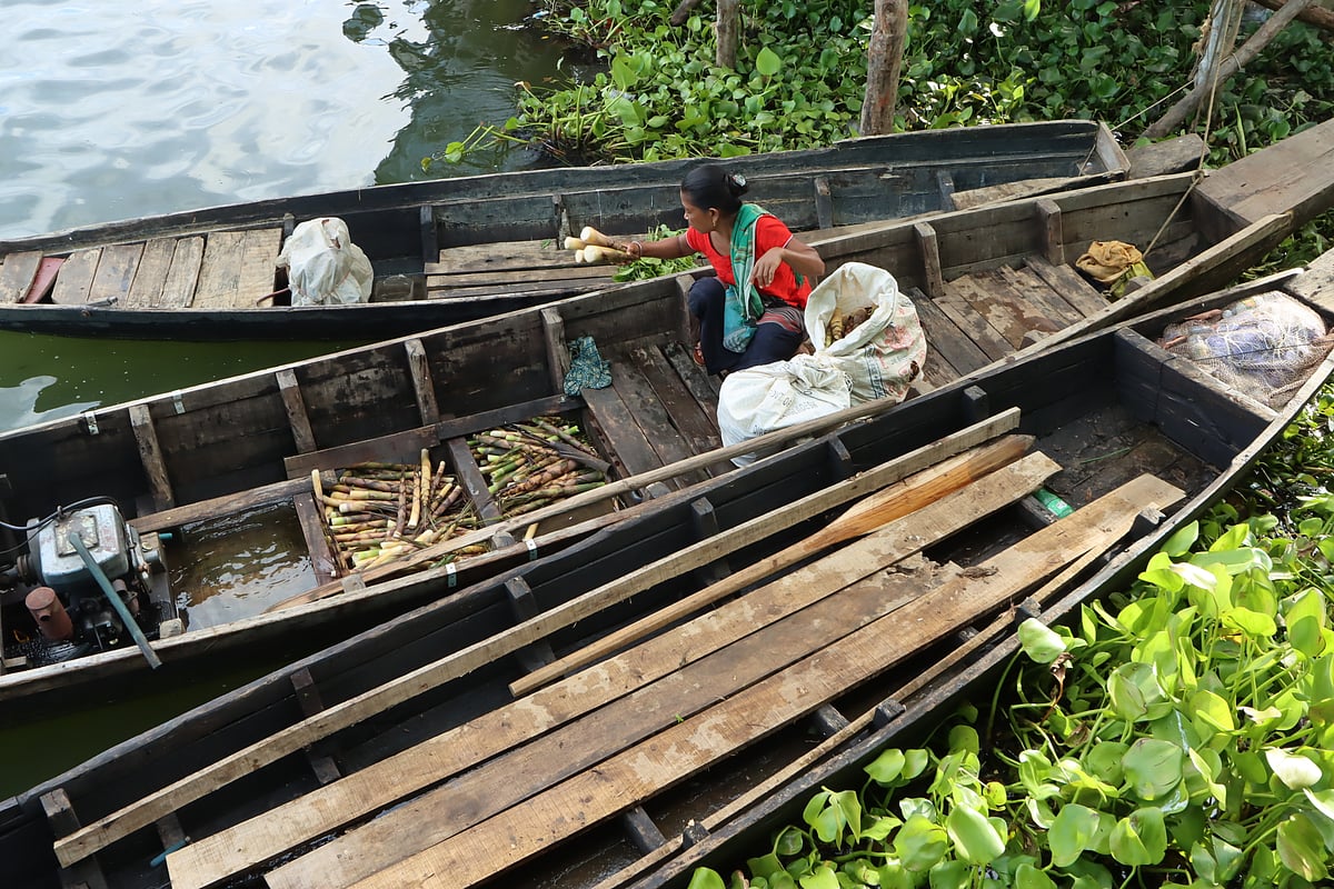 একঝলক (২ অক্টোবর ২০২৫)