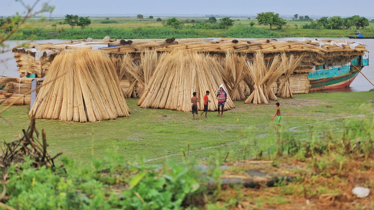 ছবি: হাসান মাহমুদ