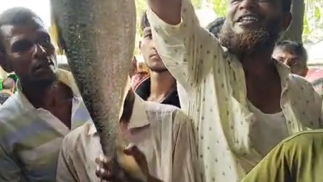 ছবি: ভিডিও থেকে সংগৃহীত