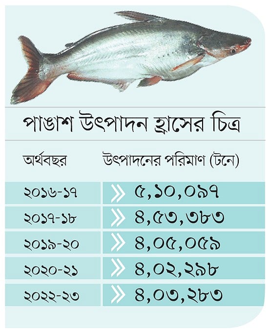 আমিষের ‘সস্তা উৎসে’ টান, কমে যাচ্ছে পাঙাশের উৎপাদন