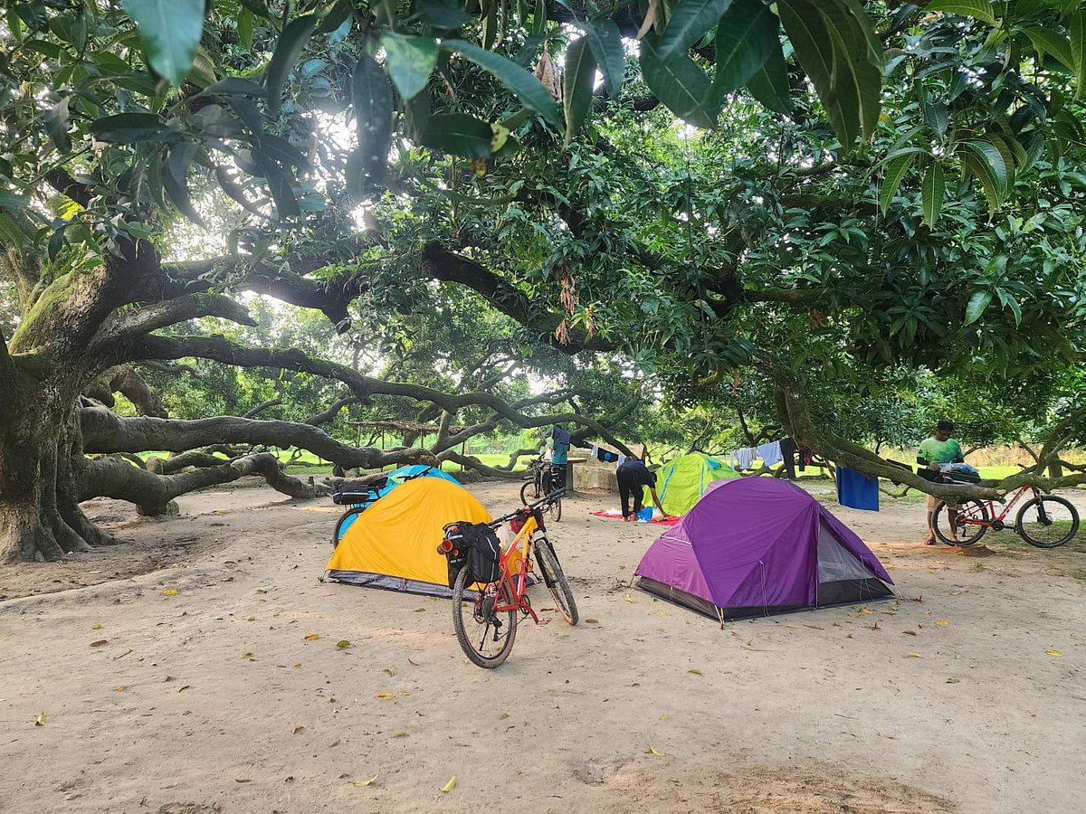 ২২০ বছরের পুরোনো এক আমগাছ তলায় এবার তাঁবুবাস করেছি