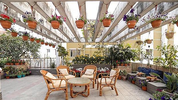 শীতকালে ছাদবাগান করতে চাইলে এখনই যেভাবে প্রস্তুতি নেবেন