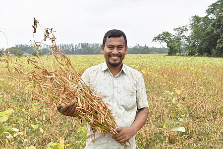 এইচএসবিসির সহায়তায় দেশে জলবায়ু সহনশীল সয়াবিন চাষ শুরু