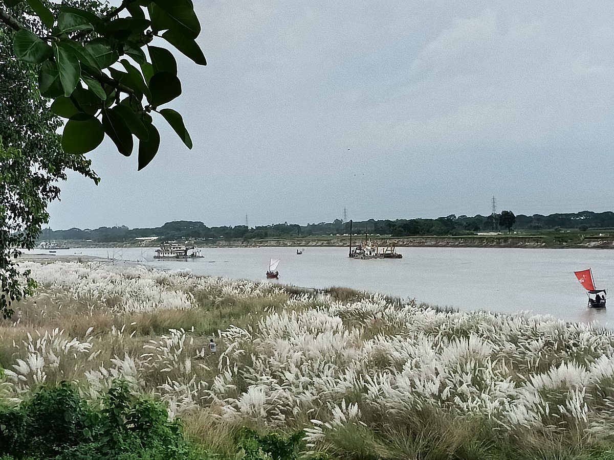 পাঠকের ছবি (৬ অক্টোবর ২০২৫)