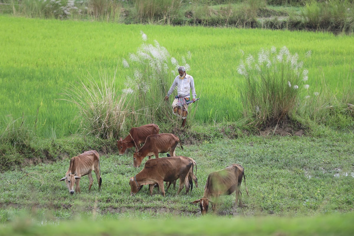একঝলক (৬ অক্টোবর ২০২৫) এক