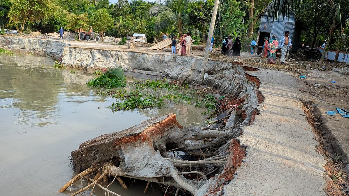 পদ্মায় বিলীন তীর রক্ষা বাঁধের দুই কিলোমিটার অংশ, গৃহহীন ১৫০ পরিবার | প্রথম আলো