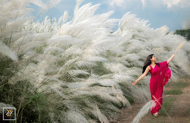 ব্লক হিলসে স্বচ্ছন্দে কাশবিলাসে মগ্ন উর্বী আপনমনে