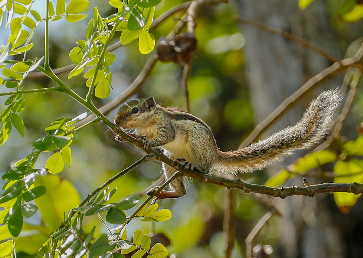 ছবি: সাদ্দাম হোসেন