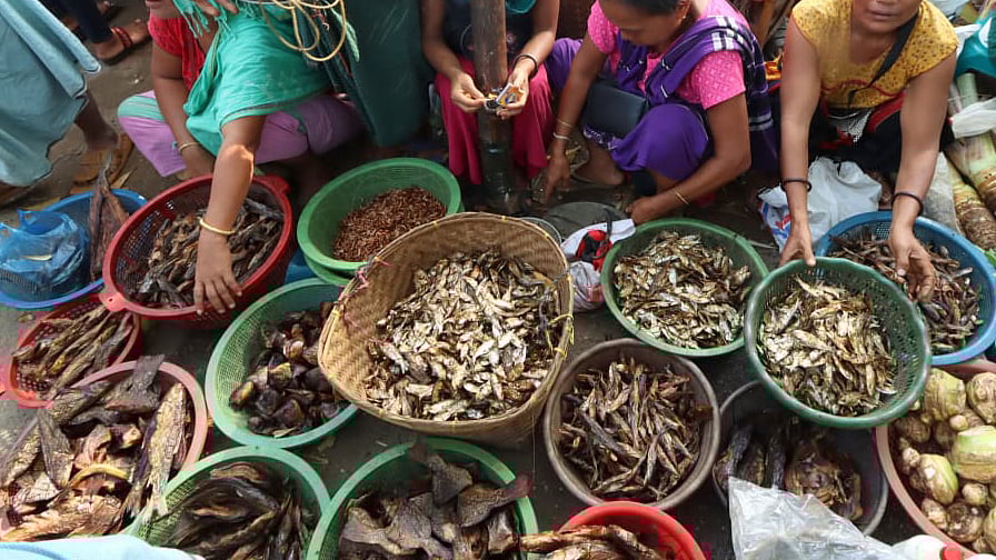 ছোট–বড় বিভিন্ন মাছের শুঁটকি