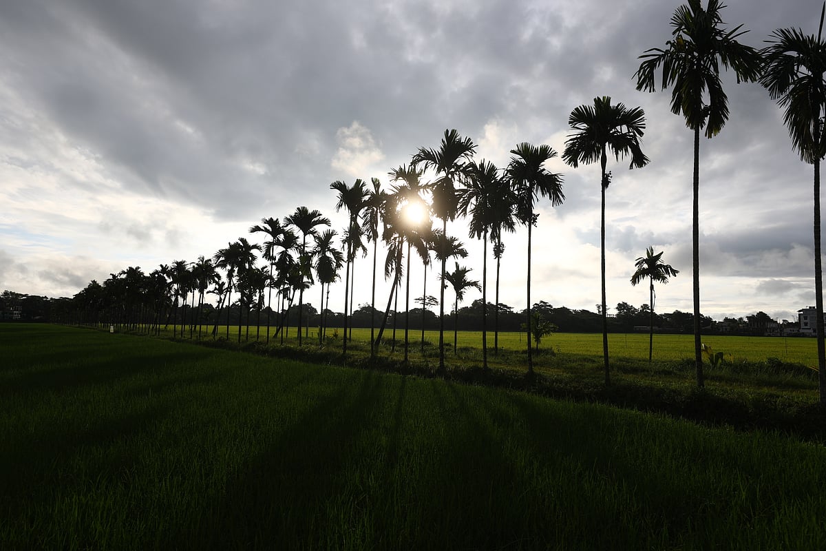 ছবি: আনিস মাহমুদ 