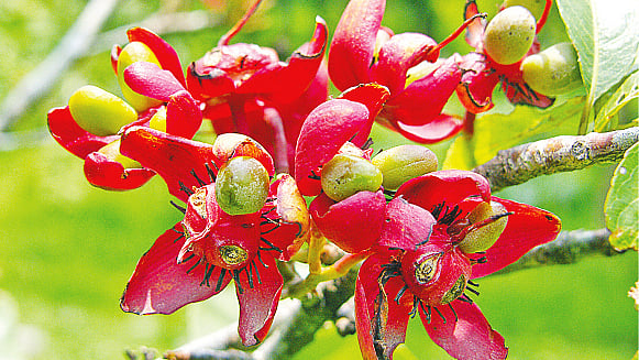 ছবি: লেখক