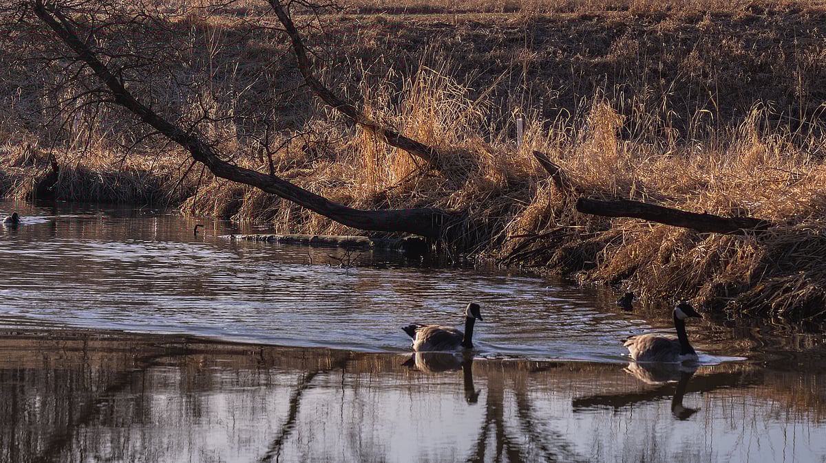 ছবি: সাখাওয়াত হোসেন