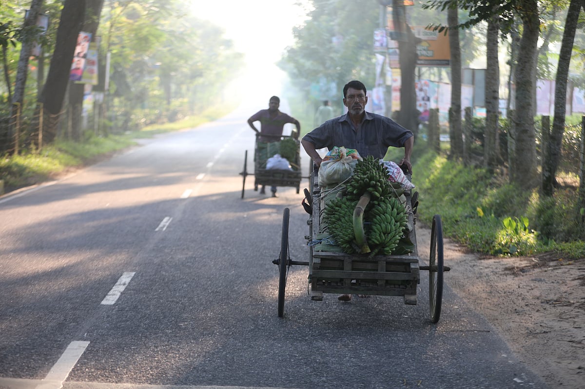 ঠেলায় করে লেবু আর কলা নিয়ে হাটে আসছেন চাষিরা