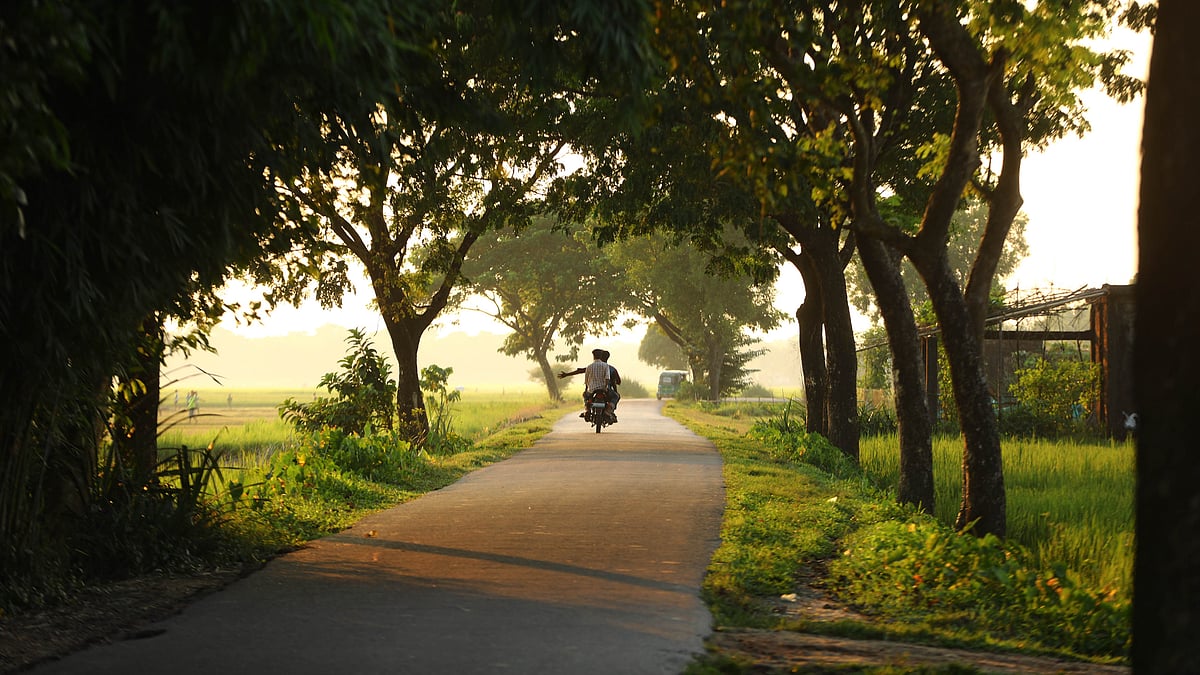 গ্রামের পথে হেমন্তের মিষ্টি রোদের আলো–ছায়ার খেলা।