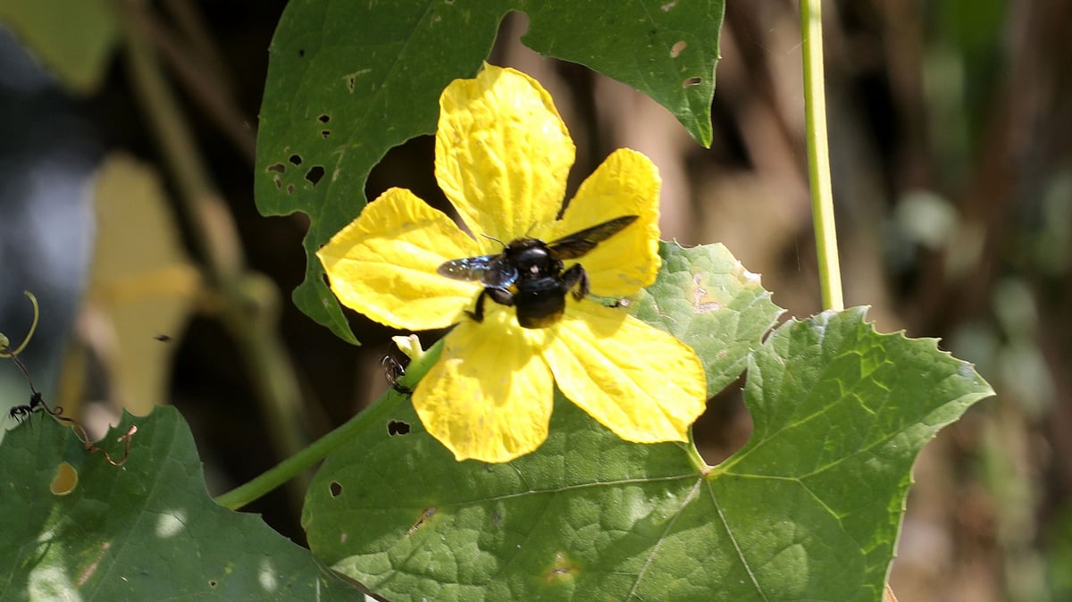 ছবি: সোয়েল রানা