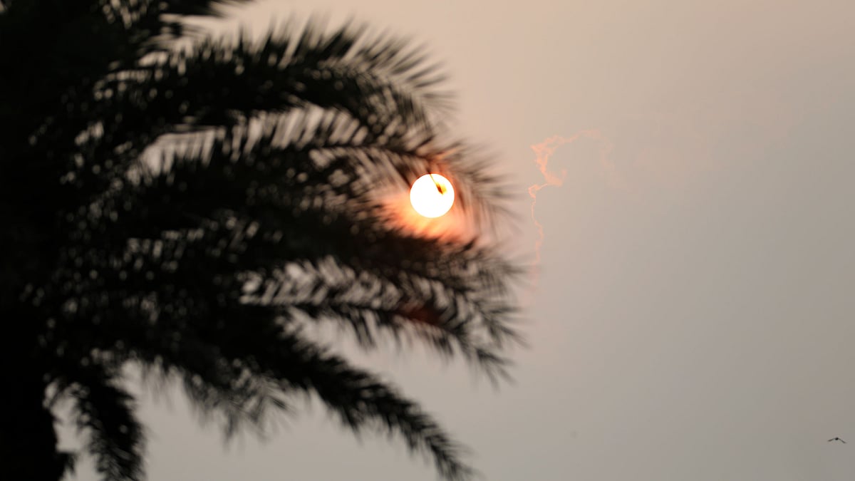 শিশিরভেজা সকালে সূর্যের উঁকি