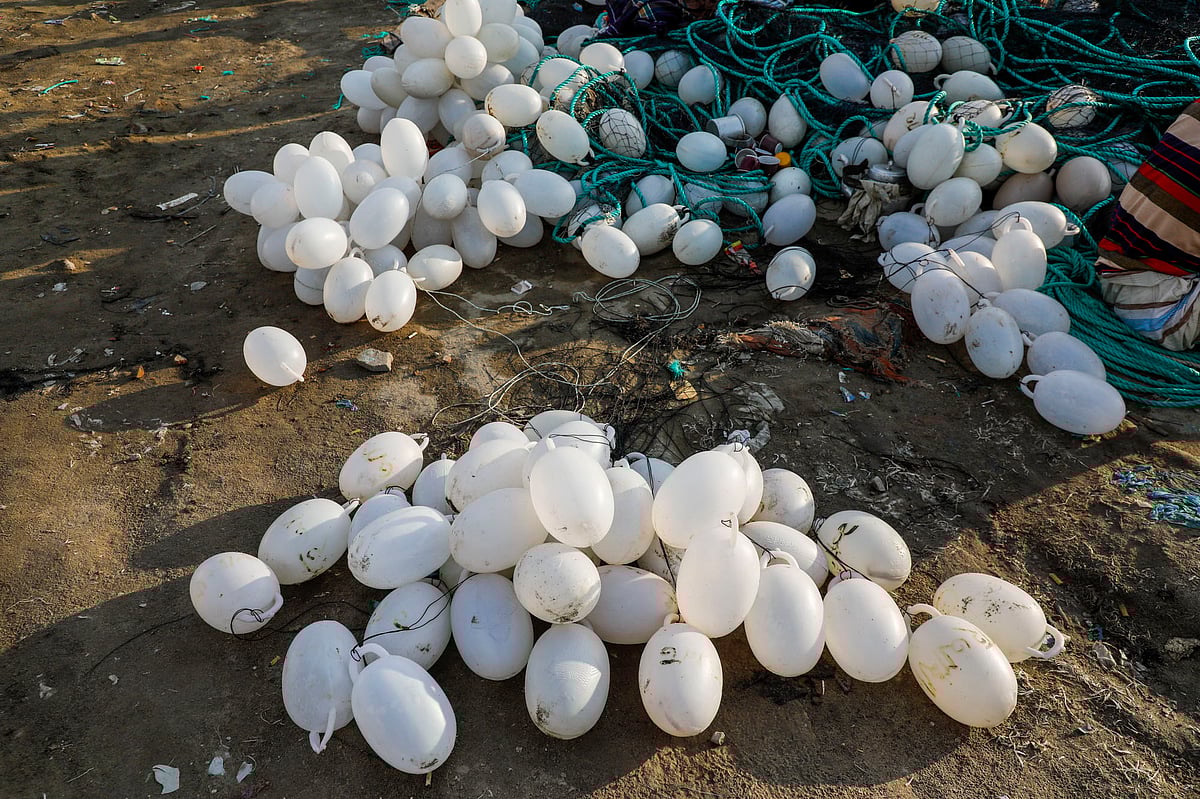 জালে লাগানোর জন্য রাখা বয়া 