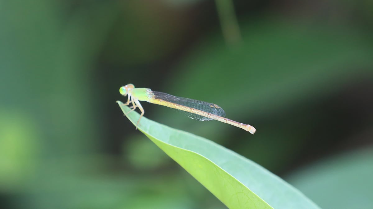 ছবি: মঈনুল ইসলাম