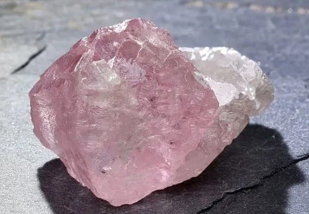 বিরল অর্ধগোলাপি হীরার খোঁজ by জাহিদ হোসাইন খান