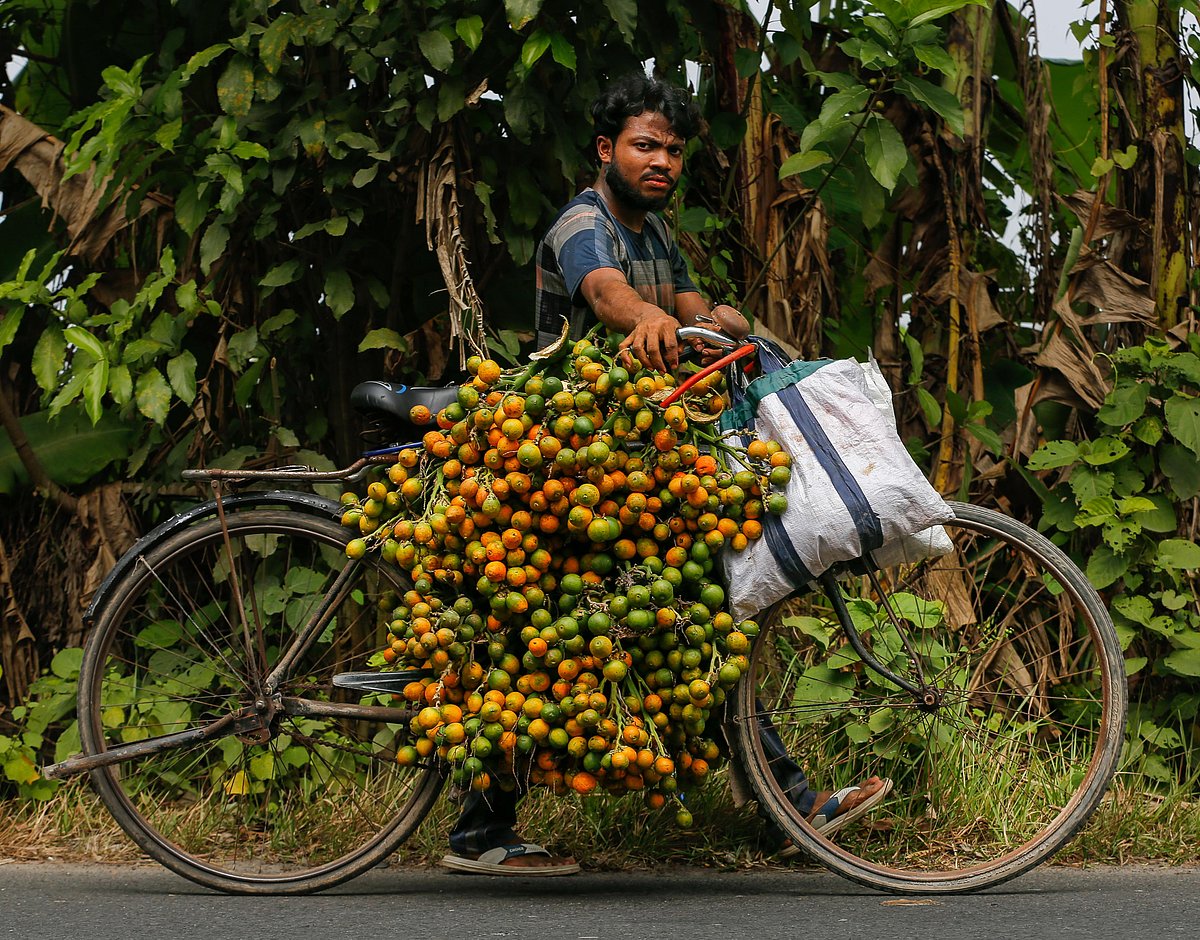 সুপারি