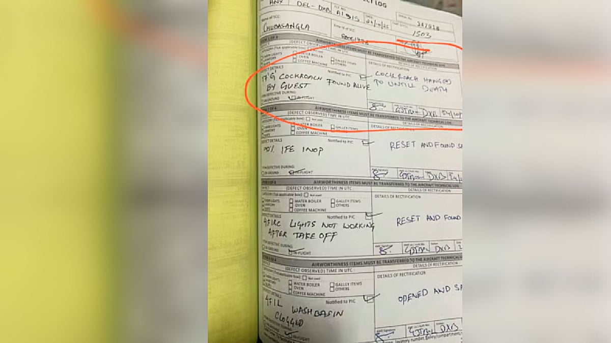 উড়োজাহাজে তেলাপোকাকে ‘ঝুলিয়ে মৃত্যুদণ্ড’