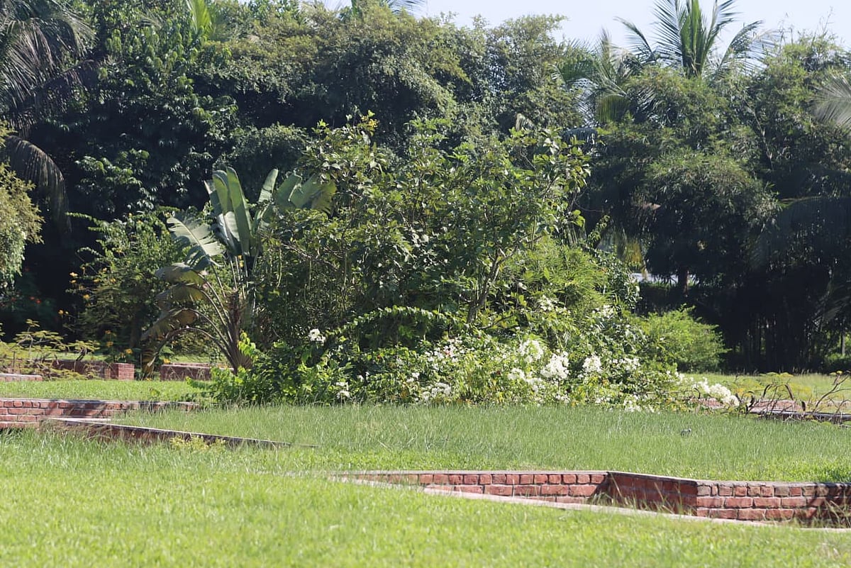 ভবনের বিভিন্ন কক্ষের ছাদ মাটির সমতলে। তাতে লাগানো সবুজ ঘাস মিশে গেছে আশপাশের মাঠের সঙ্গে। 