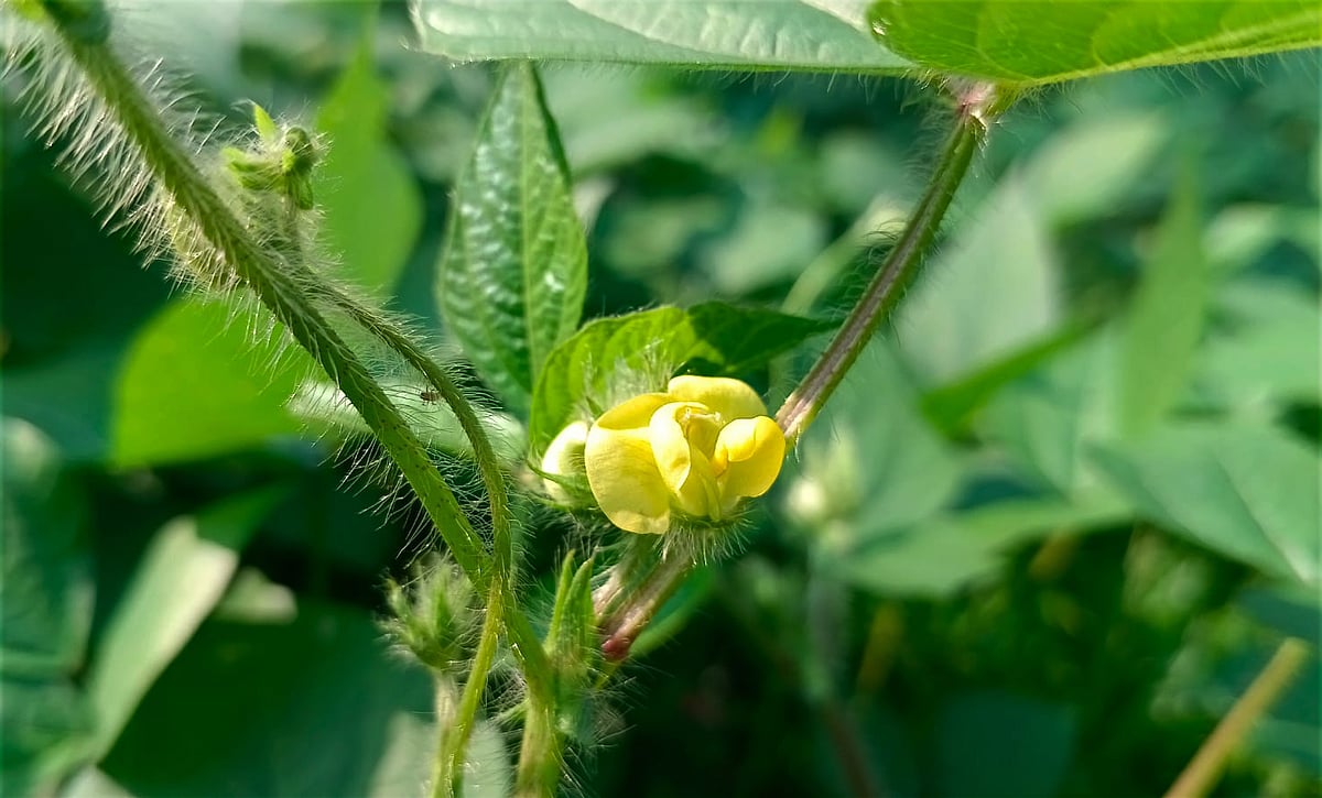 ছবি: মোস্তাফিজুর রহমান 