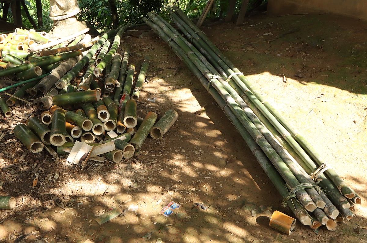 বাগান থেকে বাছাই করে নিয়ে আসা হয় বাঁশ। সেই বাঁশ দিয়েই তৈরি হবে বিভিন্ন পণ্য 