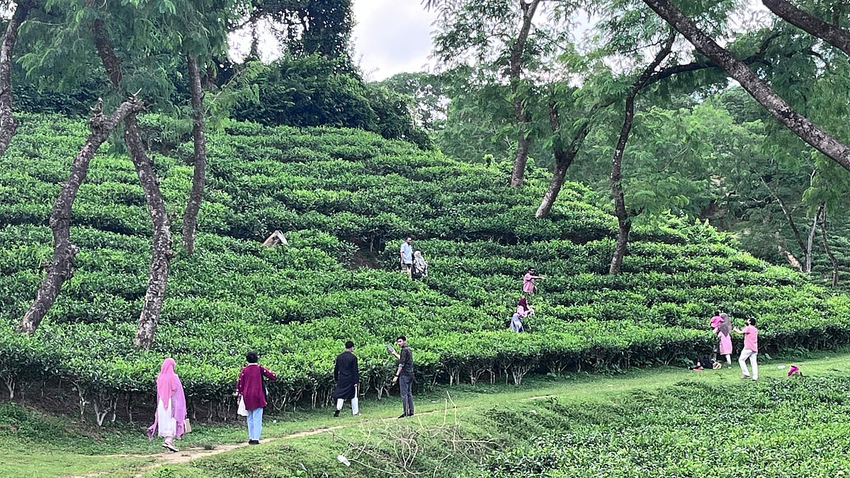 ছবি: প্রথম আলো