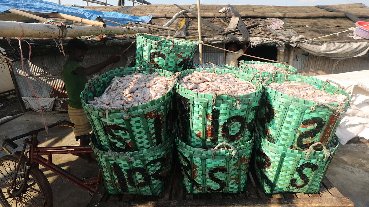 পাইকারি বাজার থেকে ভ্যানে করে আনা হয়েছে মাছ