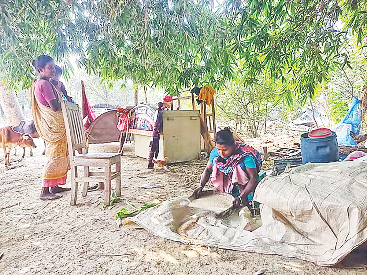 আসুন, কোলদের প্রতি মানবিক হই by সঞ্জীব দ্রং