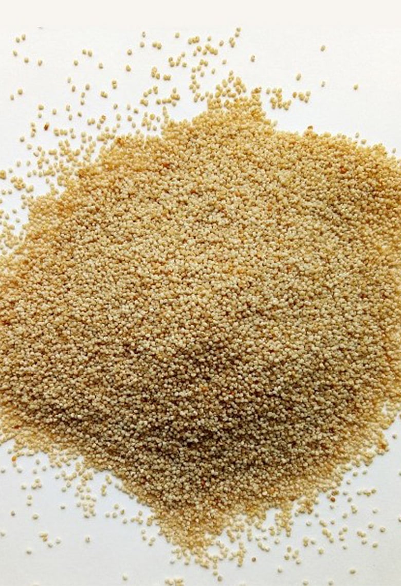 পপি সিড আর পোস্তদানা কি একই জিনিস? পপি সিড খেলে কী হয় আর কেন নিষিদ্ধ