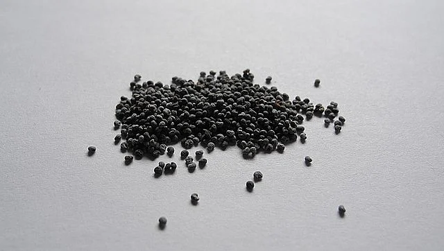 আমাদের দেশসহ অনেক দেশেই এটি নিষিদ্ধ