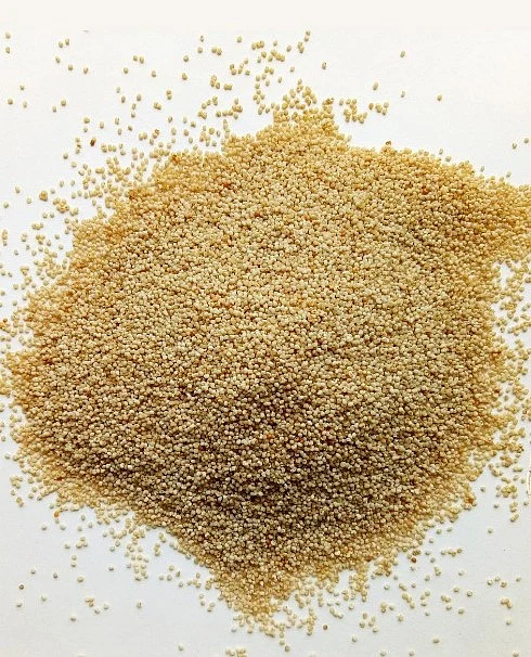 পপি সিড বা পোস্তদানা হলো সেই গাছের শুকনো বীজ