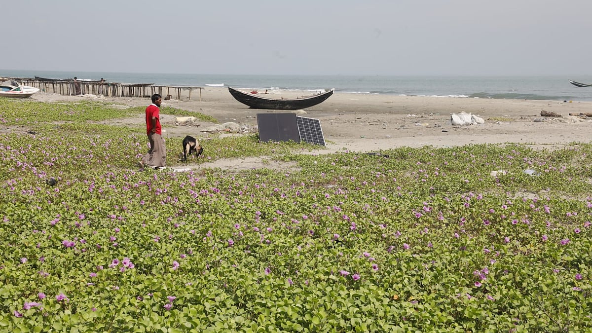 কোলাহল নেই দীর্ঘদিন, তাতে রূপ খুলেছে সেন্ট মার্টিনের প্রকৃতি