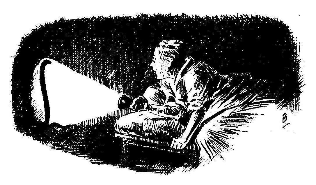 কার্বলিক অ্যাসিড কি আসলেই সাপ তাড়াতে পারে