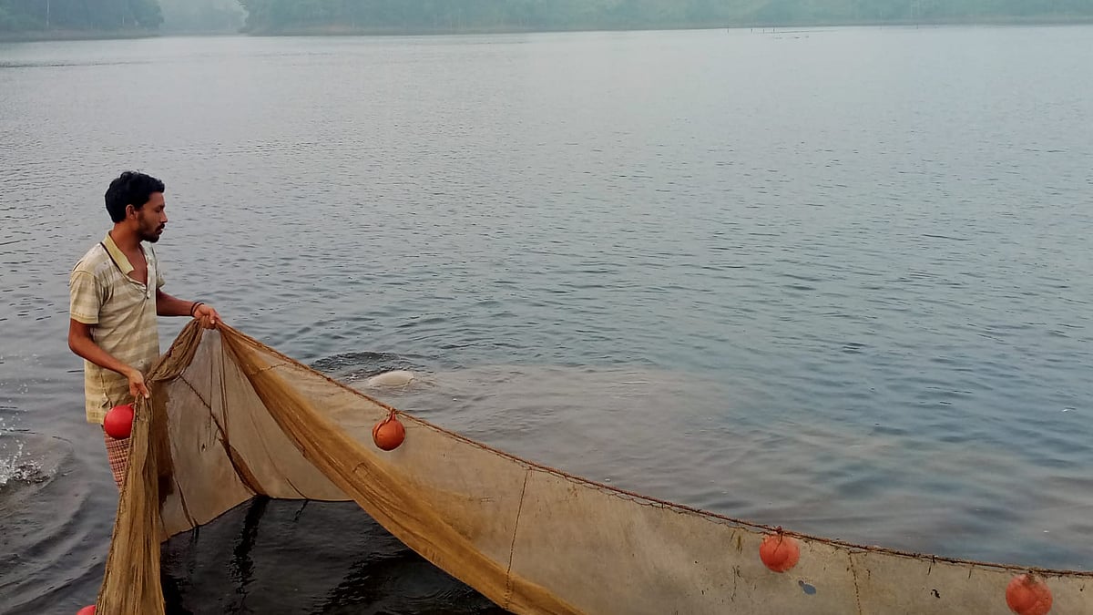 মাছ ধরতে জাল টানছেন জেলে