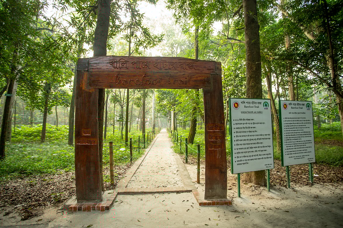 ঢাকাবাসীর জন্য খালি পায়ে হাঁটার ব্যবস্থা করল বোটানিক্যাল গার্ডেন