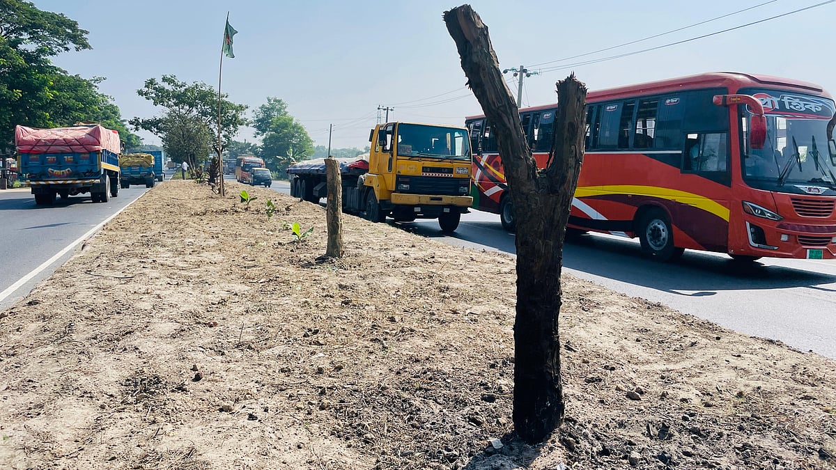 ছবি: প্রথম আলো