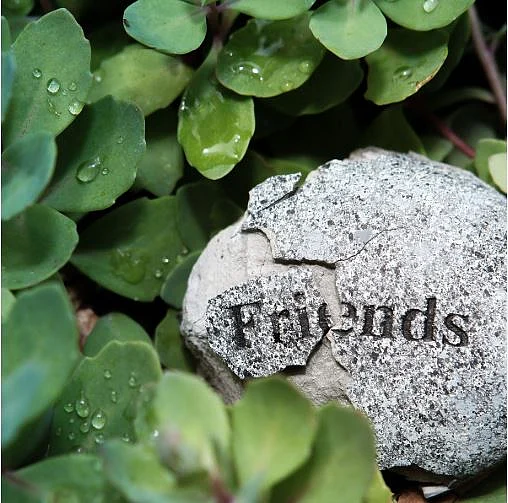 ফ্রেন্ড কথাটার অর্থই বদলে দিয়েছে ফেসবুক 